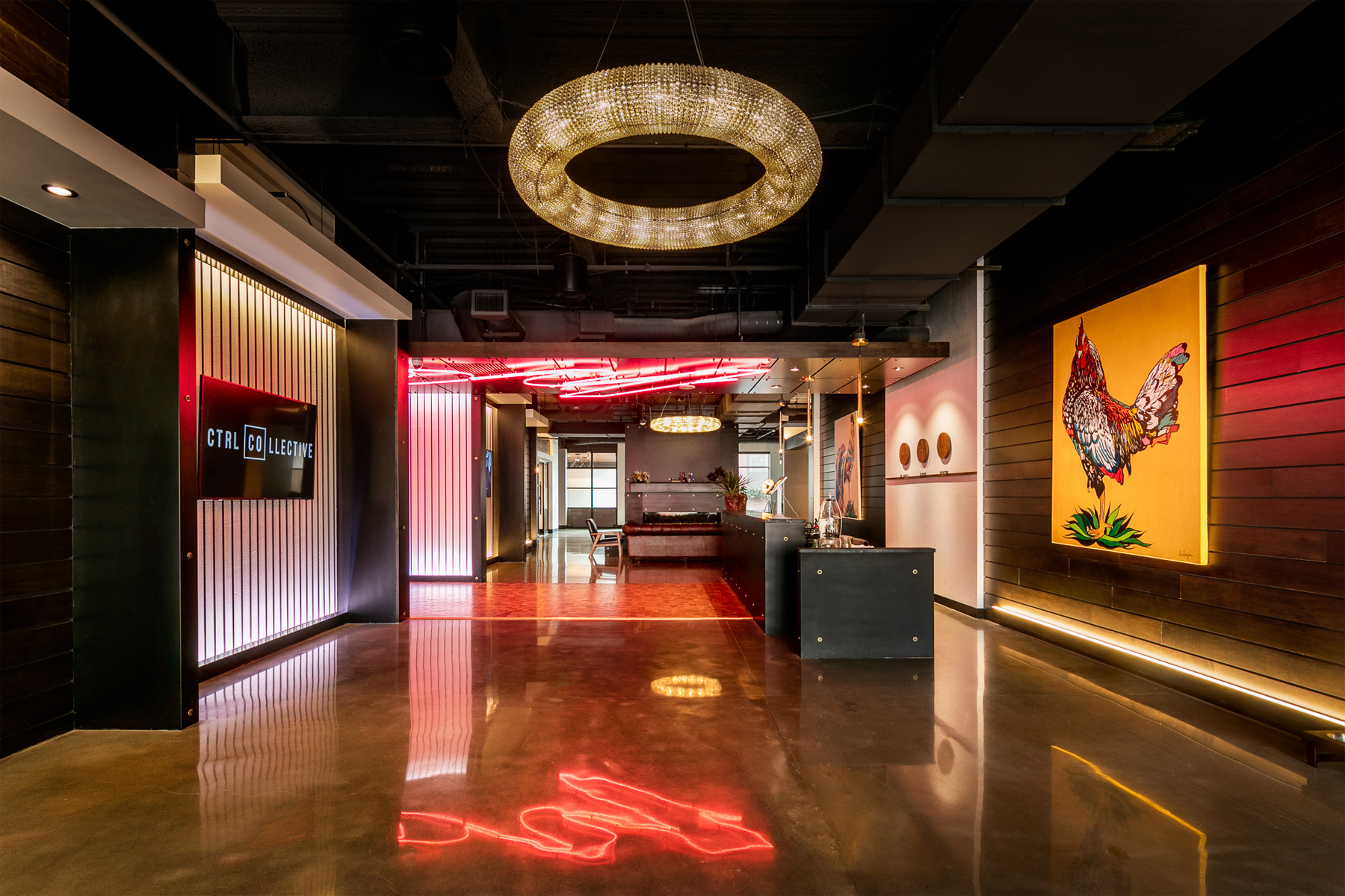 Office Buildout, Denver Colorado